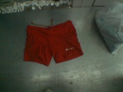 Thumbnail of red champions shorts
