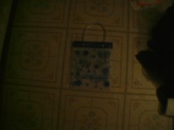 Thumbnail of BAG