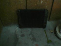 Thumbnail of 1981 BUICK REGAL 3.8 V6 RADIATOR