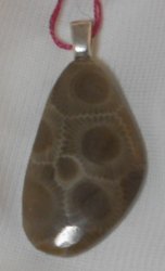Thumbnail of  Petoskey Stone Teardrop Pendant Fossil Michigan No. I