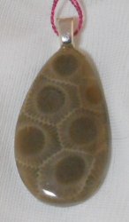 Thumbnail of  Petoskey Stone Teardrop Pendant Fossil Michigan No. II