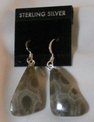 Thumbnail of Petoskey Stone teardrop Earrings SS wires Michigan Fossil No. I