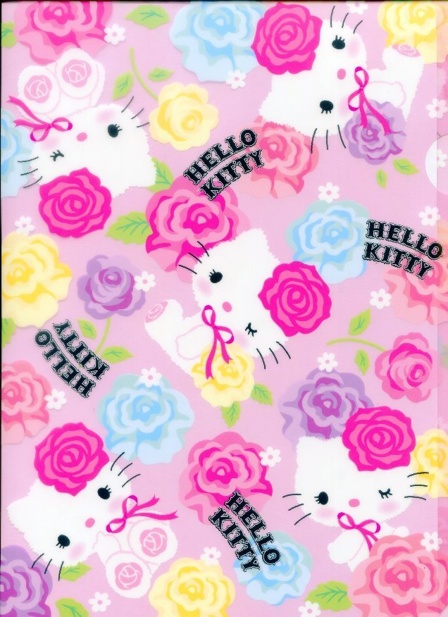 Hello Kitty 2 Folder Set ~ Kitty with Bright Pink and Teal Flowers 