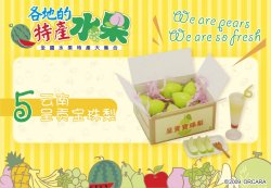 Thumbnail of Orcara Doll House Fruit Miniature #5