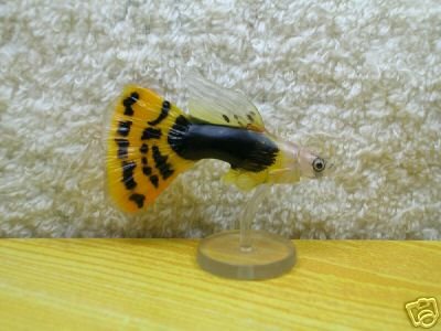 Thumbnail of Japan Limited Furuta Fish Miniature #5 