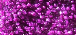 Thumbnail of Color Lined Pale Blue/Magenta