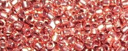 Thumbnail of Bright Copper Plate