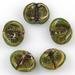 Thumbnail of UnicorneSeashell21235 - Seashell Bead Leaf Green - USA made