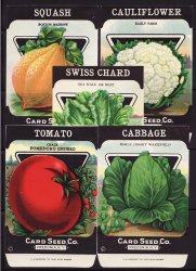 Thumbnail of Vegetable Seed Packages, 5 diff., 1920s