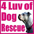 Thumbnail of 10/23. 4 Luv of Dog Rescue SILENT AUCTION AND GALA
