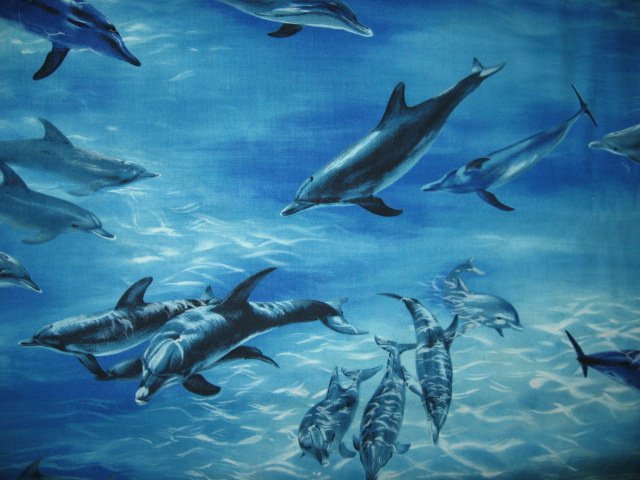 Image 0 of Michael Miller Dolphin dolphins ocean 100% cotton fabric by the yard /