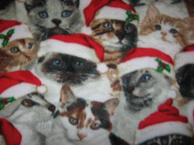 Image 1 of Santa Hat Christmas Kitty Kitten Cats crate fleece Blanket Last one