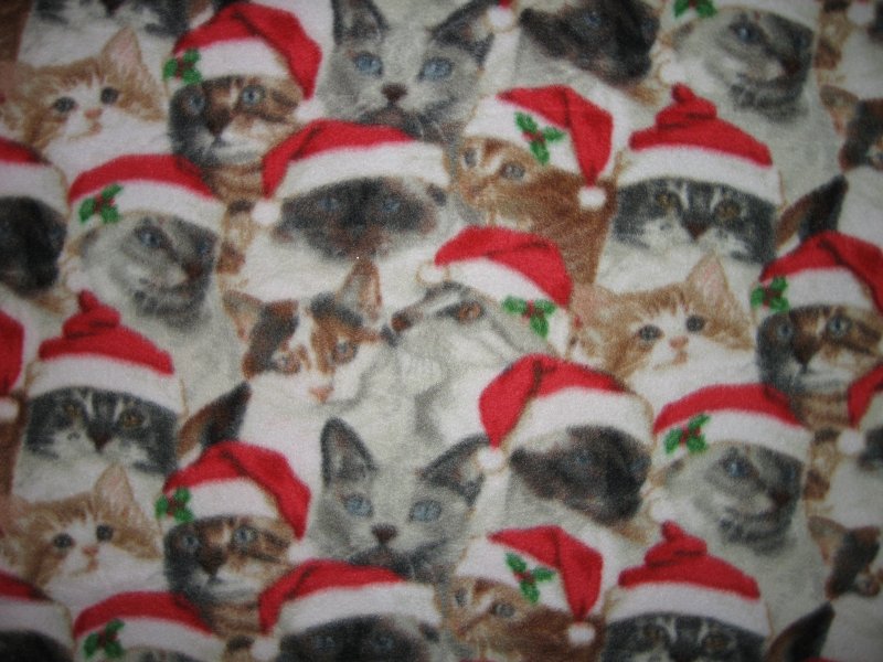 Image 0 of Santa Hat Christmas Kitty Kitten Cats crate fleece Blanket Last one