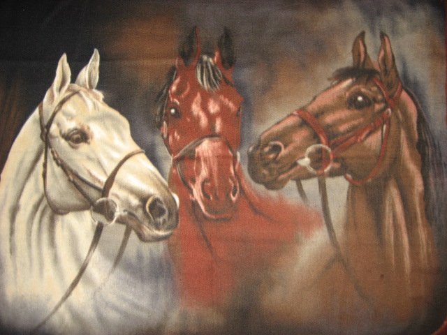 Image 0 of Horses Portrait Stunning Fleece Blanket Panel  finished edges