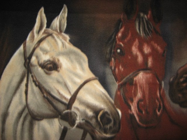 Image 1 of Horses Portrait Stunning Fleece Blanket Panel  finished edges