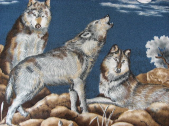 Image 1 of Moon Wolf  Southwest Fleece blanket