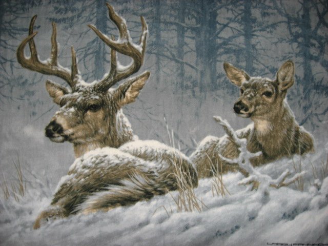 Deer fleece Blanket  Buck Doe  Artist Fanning 48X60 /