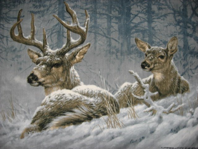 Image 0 of Deer fleece Blanket  Buck Doe  Artist Fanning 48