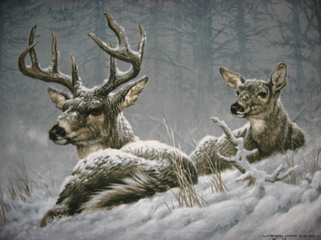 Image 1 of Deer fleece Blanket  Buck Doe  Artist Fanning 48