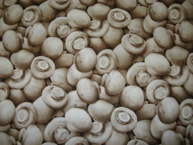 Image 0 of Kyle's Marketplace Mushrooms RJR Fabric FQ or 1/4 yard 