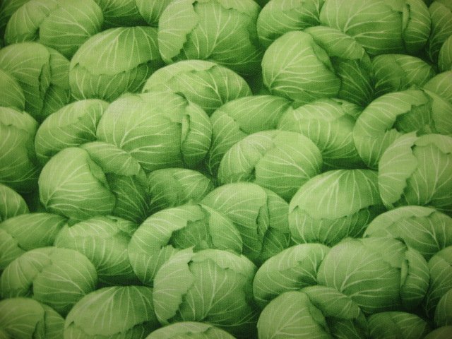 Image 0 of Kyle's Marketplace Green Cabbage RJR Fabric FQ or 1/4 yard 