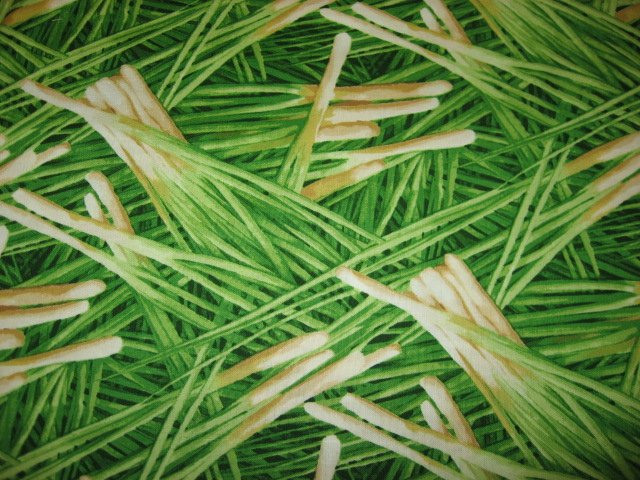 Image 0 of Kyle's Marketplace Green Onions RJR Fabric FQ or 1/4 yard 