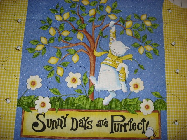 Image 2 of Daisy Kingdom Fabric Vest Lemons and Sunshine cat to sew