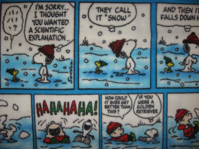 Image 0 of Peanuts Snoopy Charlie Brown 45