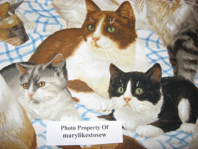 Image 2 of Daisy Kingdom Kitty Cats at Play and Resting cotton Quilting fabric by the yard