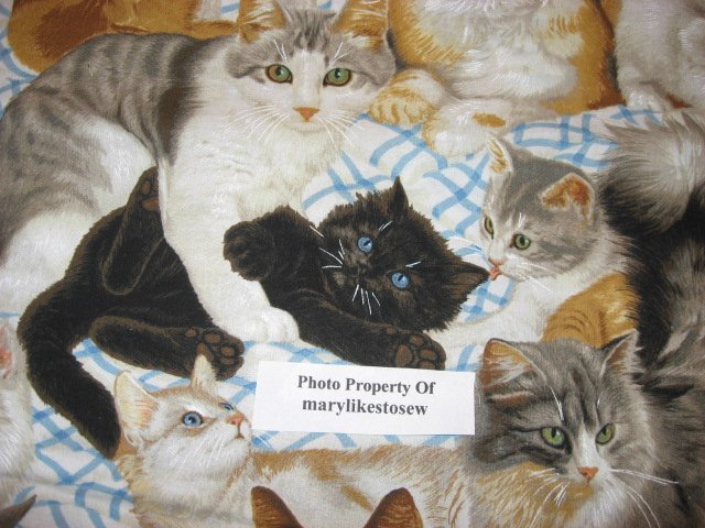 Image 3 of Daisy Kingdom Kitty Cats at Play and Resting cotton Quilting fabric by the yard