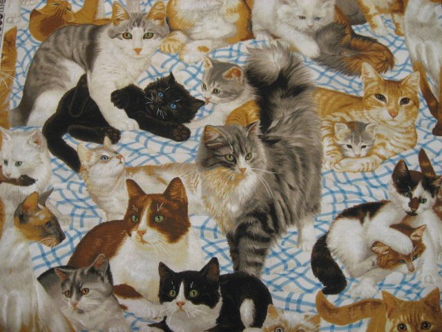 Daisy Kingdom Kitty Cats at Play and Resting cotton Quilting fabric by the yard
