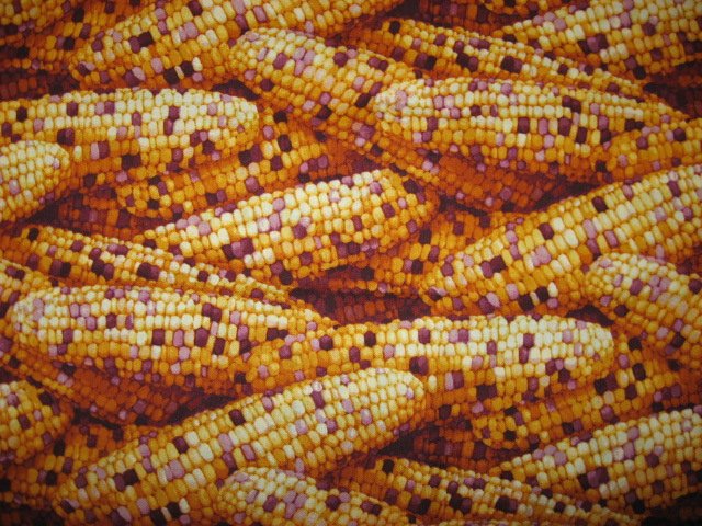 Image 0 of Farmers Market Corn Cob RJR Quilt fabric fat quarter FQ or 1/4 yard 