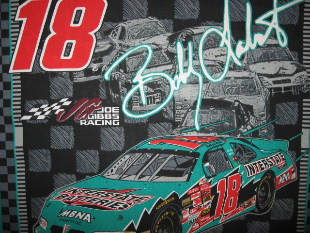 Image 1 of Bobby Labonte #18 Nascar two Fabric pillow panels to sew