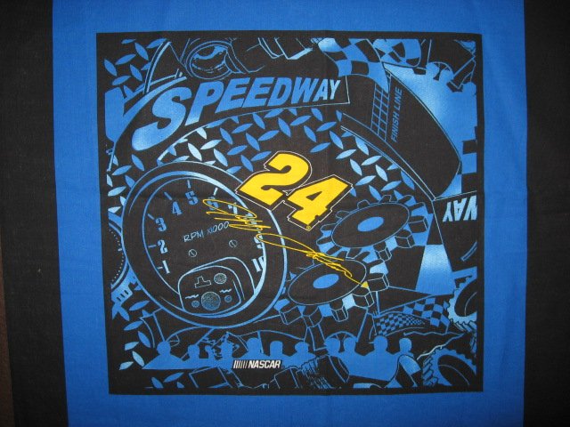 Image 0 of Jeff Gorden #24 Nascar two blue Fabric pillow panel set to sew
