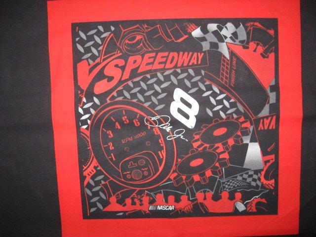 Dale Earnhardt #8 Nascar two of the same Speedway Fabric pillow panels to sew