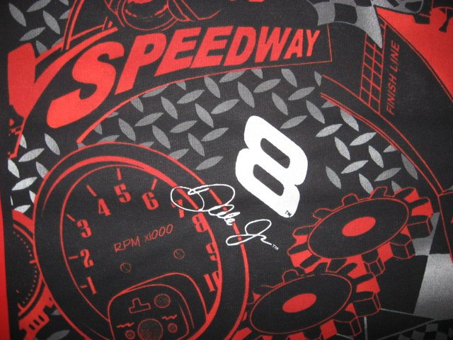 Image 1 of Dale Earnhardt #8 Nascar two of the same Speedway Fabric pillow panels to sew