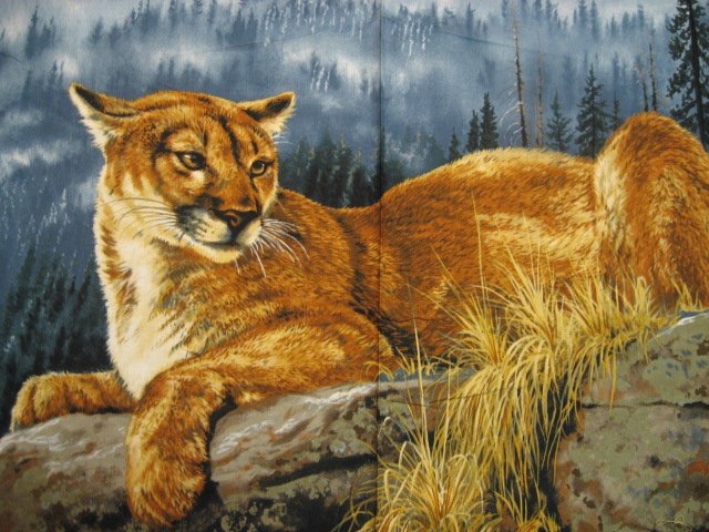 Image 0 of Mountain Lion or Cougar Southwest wall panel throw fabric to sew RARE //