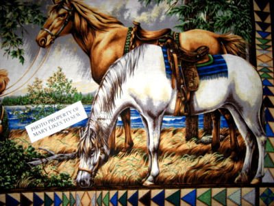 Image 2 of Southwest horses Boy and Girl Flying Geese border pattern Fabric panel to sew //