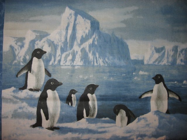 Image 1 of Hautman Artist Six Penguins on Ice Two Fabric Pillow Panels to sew