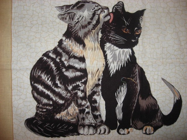 Image 1 of cat kitten kitty baby  Dad  M0m Fabric Pillow Panel set to sew Approx 1/2 yard