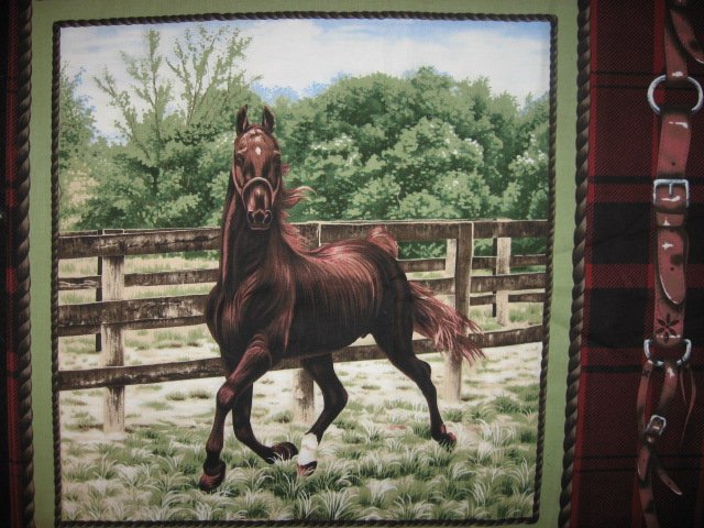 Horse Running in Farm Coral two Fabric Pillow Panels