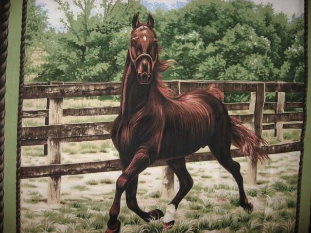 Image 1 of Horse Running in Farm Coral two Fabric Pillow Panels