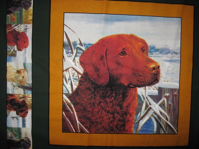 Rust Brown Labrador Retriever Dog two Fabric Pillow Panels to sew