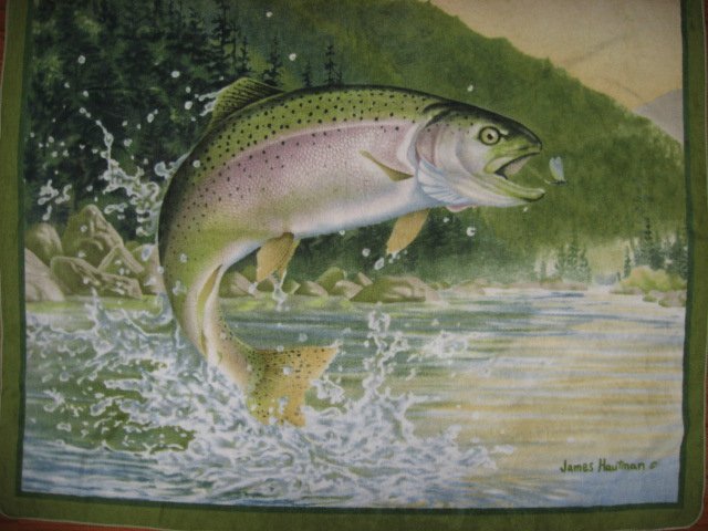 Rainbow Trout Fish Artist Hautman LIGHTWIGHT warm Fleece Blanket  gift  Dad