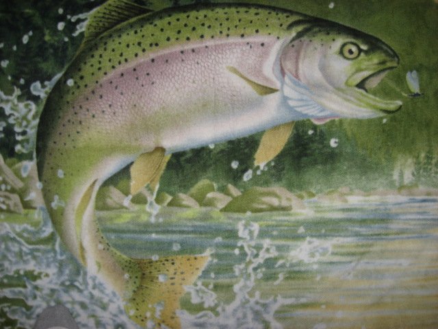 Image 1 of Rainbow Trout Fish Artist Hautman LIGHTWIGHT warm Fleece Blanket  gift  Dad