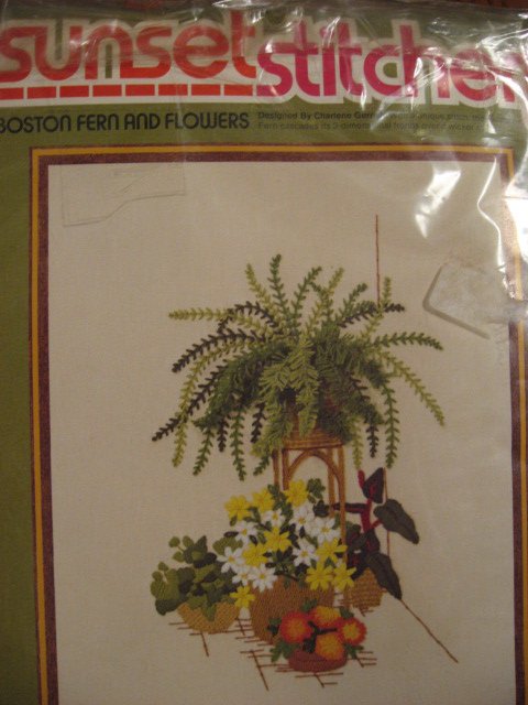 Boston Fern and  flowers Sunset stitchery crewel Kit 16 X 20  