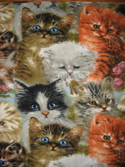 Image 0 of Cat pet crate fleec blanket  adorable  by Artist Giordano 38