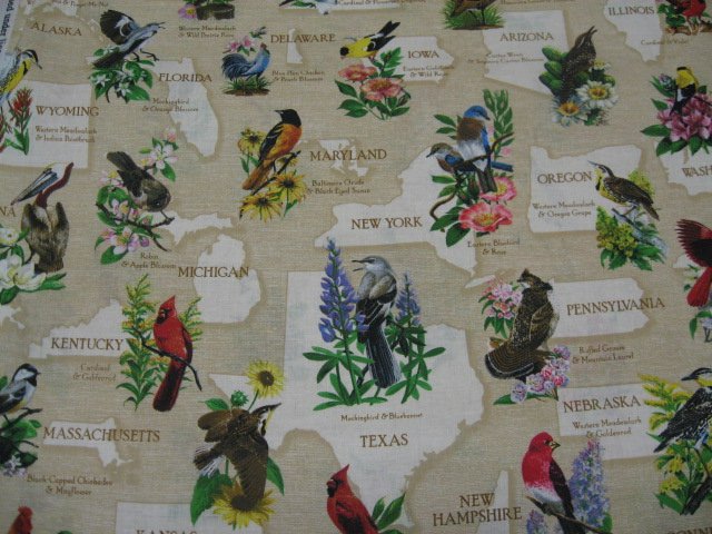 Image 0 of State birds Robin cardinal teacher panel beige Cotton Fabric to sew