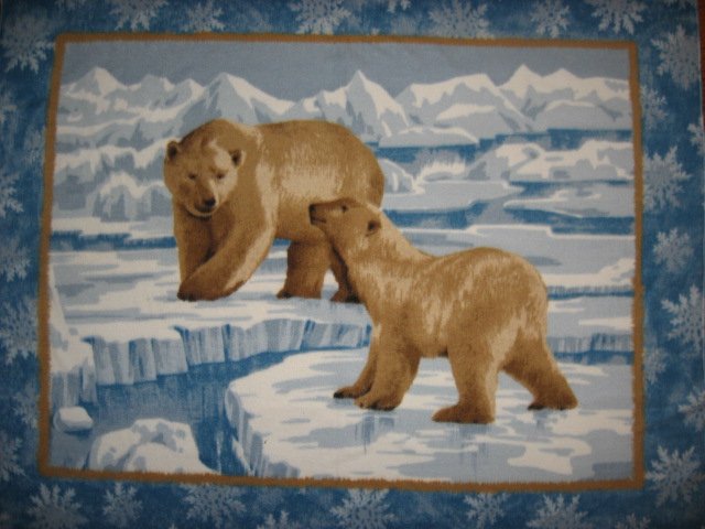 Image 0 of Mother and baby Polar bears on ice fleece blanket 48