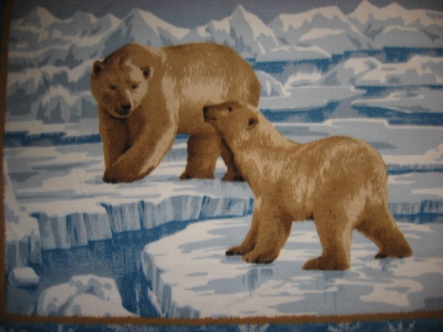 Image 1 of Mother and baby Polar bears on ice fleece blanket 48
